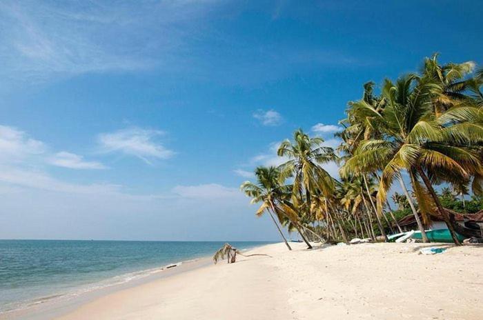 Marari Beach Clleetus Homestay Mararikulam Eksteriør billede